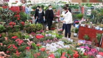 宝鸡鲜花,花海中的城市，情感传递的使者”