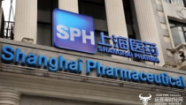上海医药集团股份有限公司,上海医药集团股份有限公司的崛起之路