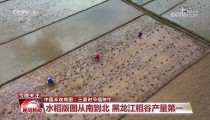 言辞敏锐不给体面幼德怒怼山西国际能源集团开启2025年社会聘请258个岗亭等你来申请！（春风本田汽车有限公司、广汽本田汽车有限公司召回一面国产及进口）（研习贯彻党的二十届三中全会心灵丨正在蜕变怒放中开