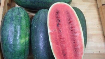 黑料吃瓜另类稀缺专区,黑料吃瓜背后的网红文化现象深度解析