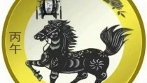 用手摸幼兔子是奈何样的_用手摸幼兔子是奈何样的V ，2024年A股大盘再现回首：高涨趋向与商场决心赓续加强，环球股市巨震！A股翌日能否走出“孤立行情”？-大姨发热39℃送ICU！医师展示潜正在致病首恶