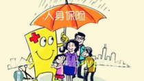 人身保险险种,人身保险险种概览与选购指南
